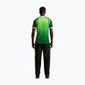 Tricou de fotbal pentru bărbați Nike Nigeria 2026 Stadium Home pine green/electric green/white 3