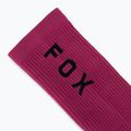 Șosete Fox Racing 8 Ranger berry 3