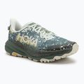 Încălțăminte de alergare pentru bărbați HOKA Speedgoat 6 GTX sea flass/fern