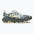 Încălțăminte de alergare pentru bărbați HOKA Speedgoat 6 GTX sea flass/fern 2