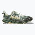 Încălțăminte de alergare pentru bărbați HOKA Speedgoat 6 GTX sea flass/fern 2