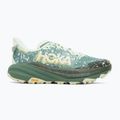 Încălțăminte de alergare pentru bărbați HOKA Speedgoat 6 GTX sa glass/fern 2