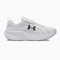 Pantofi de alergare bărbați Under Armour Assert 11 alb/negru/gri îndepărtat