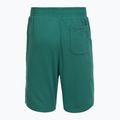 Pantaloni scurți de antrenament pentru bărbați Under Armour Rival LW Graphic rack green/black 6