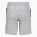 Pantaloni scurți pentru copii Under Armour Rival LW Shorts mod gray light heather/black 2