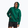 Bluză pentru bărbați Under Armour Rival Fleece Hoodie campus ivy/white