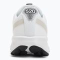 Încălțăminte de alergare pentru femei New Balance Fresh Foam 520's V9 winter grass 6