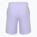 Pantaloni scurți pentru bărbați New Balance Fleece Shorts 9" daybreak 2
