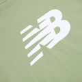 Tricou pentru bărbați New Balance Graphic V Flying oregano 3