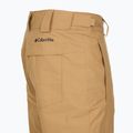 Pantaloni de schi pentru bărbați Columbia Bugaboo V canoe 12