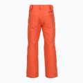 Pantaloni de schi pentru bărbați Columbia Bugaboo V zing 10