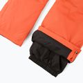 Pantaloni de schi pentru bărbați Columbia Bugaboo V zing 13