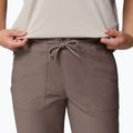 Pantaloni de trekking pentru bărbați Columbia ROC Ripstop Jogger iron 5