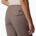 Pantaloni de trekking pentru bărbați Columbia ROC Ripstop Jogger iron 6
