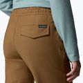Pantaloni de trekking pentru bărbați Columbia ROC Ripstop Jogger delta 6