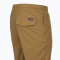 Pantaloni de trekking pentru bărbați Columbia ROC Ripstop Jogger delta 11