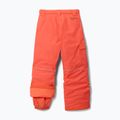 Pantaloni de schi Columbia Bugaboo III zing 2