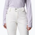 Pantaloni de schi pentru femei Columbia Roffee Ridge VI sea salt 5