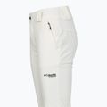 Pantaloni de schi pentru femei Columbia Roffee Ridge VI sea salt 11