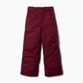 Pantaloni de schi pentru copii Columbia Starchaser Peak III rich wine 6