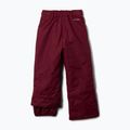 Pantaloni de schi pentru copii Columbia Starchaser Peak III rich wine 7