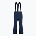 Pantaloni de schi pentru bărbați Columbia Cirque Bowl collegiate navy 11