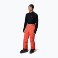 Pantaloni de schi pentru bărbați Columbia Cirque Bowl zing 4