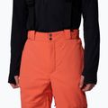 Pantaloni de schi pentru bărbați Columbia Cirque Bowl zing 5