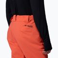 Pantaloni de schi pentru bărbați Columbia Cirque Bowl zing 6