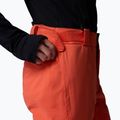 Pantaloni de schi pentru bărbați Columbia Cirque Bowl zing 7