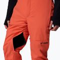Pantaloni de schi pentru bărbați Columbia Cirque Bowl zing 10