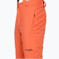Pantaloni de schi pentru bărbați Columbia Cirque Bowl zing 15