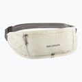 Centură de alergare Salomon Pulse Sling icicle / castlerock