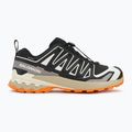 Încălțăminte de alergare pentru bărbați Salomon XA PRO 3D V9 GTX black/vanilla ice/turmeric 2