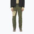 Pantaloni de trekking pentru bărbați Salomon Outerpath Utility grape leaf