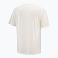 Tricou pentru bărbați  Salomon Shakeout Core whisper white 4
