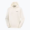 Bluză pentru bărbați Salomon Chest Logo Hoodie whisper white 5