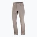 Pantaloni de trekking pentru bărbați Salomon Wayfarer iron 6