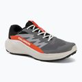 Încălțăminte de alergare pentru bărbați Salomon Alphaglide GTX castlerock/lunar rock