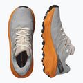 Încălțăminte de alergare pentru bărbați Salomon Ultra Flow 2 GTX gull/turmeric/white pepper 8