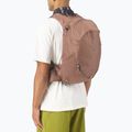 Rucsac de turism Salomon Trailblazer 20 mustang/black coffee 3