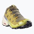 Încălțăminte de alergare pentru bărbați Salomon Speedcross 6 GTX grape leaf/aspargus green 2