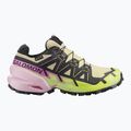 Încălțăminte de alergare pentru femei Salomon Speedcross 6 GTX bog/dawn pink