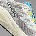 Încălțăminte de alergare pentru bărbați Salomon Aero Blaze 3 GRVL vanilla ice/ojos del salar/black 8