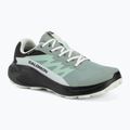 Încălțăminte de alergare pentru femei Salomon Alphaglide GTX green milieu/asphalt
