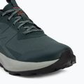 Încălțăminte de drumeție pentru bărbați Salomon Elixir Activ GTX scarab/green gable 7