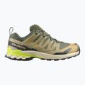 Încălțăminte de alergare pentru bărbați Salomon XA Pro 3D V9 GTX grape leaf/aloe