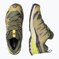 Încălțăminte de alergare pentru bărbați Salomon XA Pro 3D V9 GTX grape leaf/aloe 3