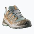 Încălțăminte de alergare pentru bărbați Salomon XA Pro 3D V9 GTX sedona sage/brilliant olive 2
