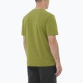 Tricou pentru bărbați Salomon Trackline cardamon seed 2